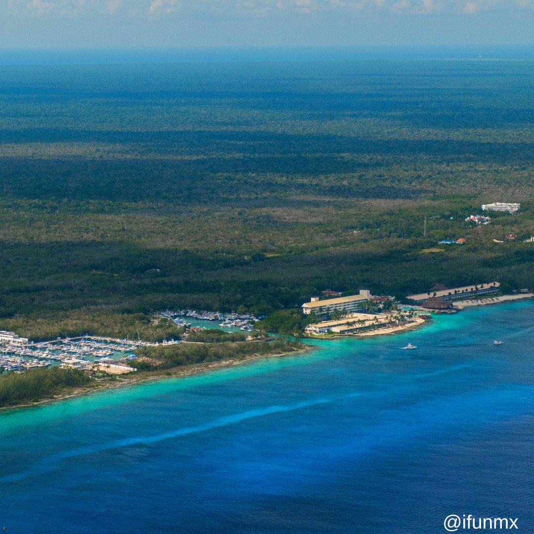 Cozumel Snorkel Tours