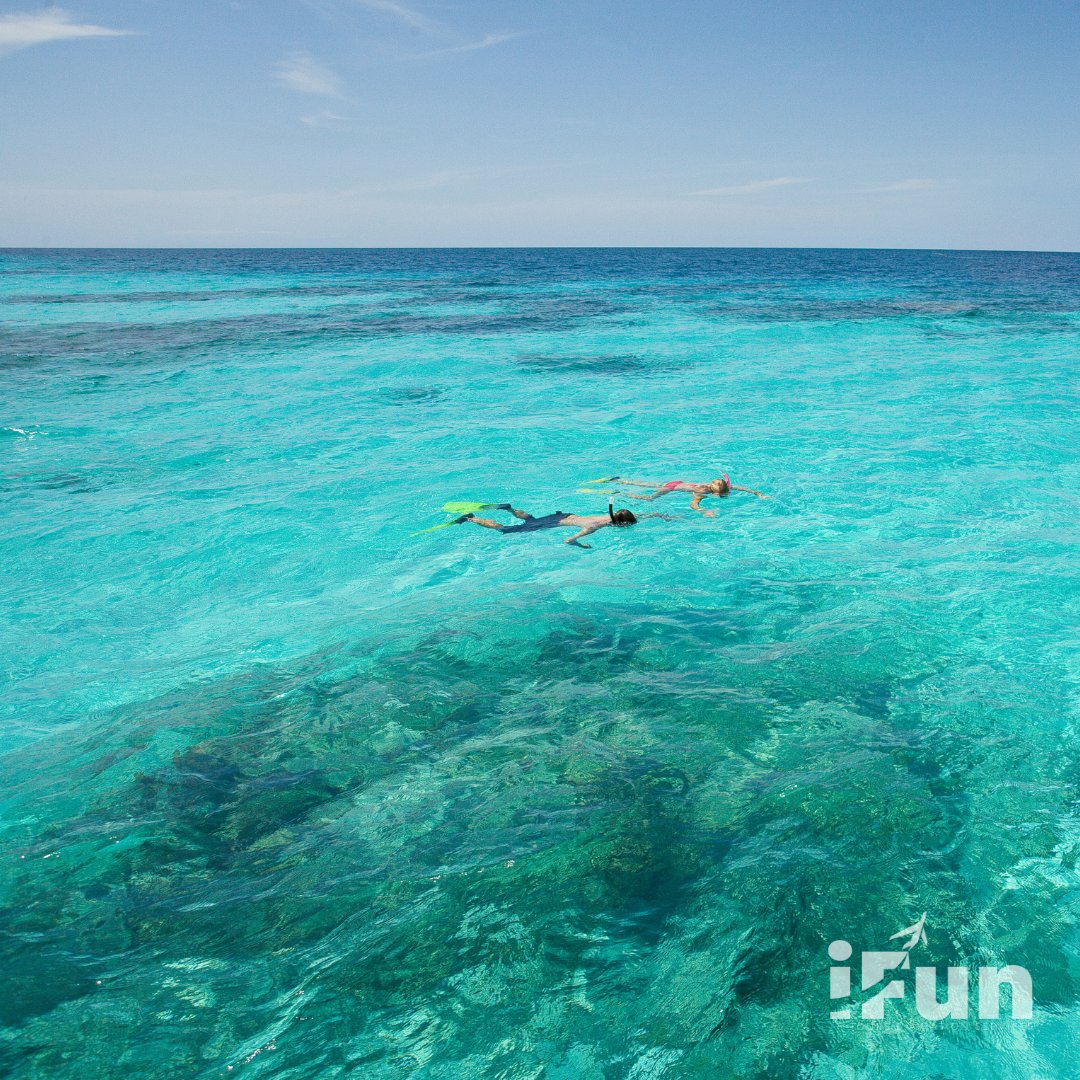 Maximize Your Cozumel Experience - Top 10 Things to Do 