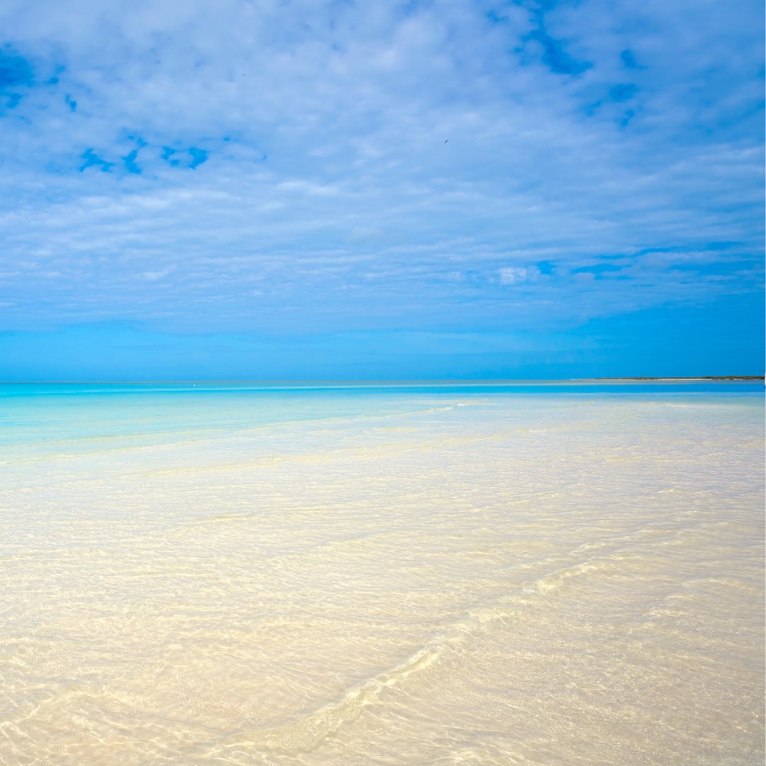 The best way to travel to Holbox