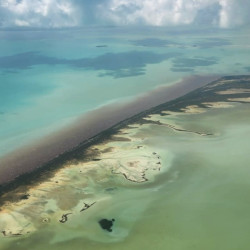 Passeios aéreos privados sobre Tulum