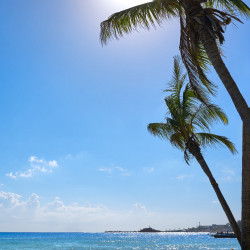 VOL MÉRIDA - PLAYA DEL CARMEN