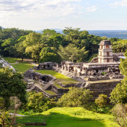 Vuelos Playa del Carmen Palenque