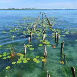 VOOS PALENQUE - CHETUMAL 