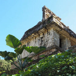 VUELOS CAMPECHE - PALENQUE