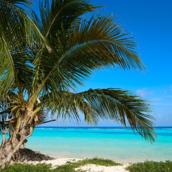 Vuelos Playa del Carmen Mahahual