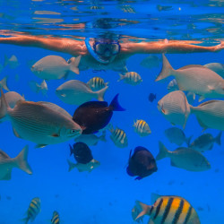 Cozumel Private Reef Snorkeling Tours Santa Rosa Excursions