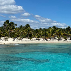 Fly From Cancun To Cozumel + El Cielo Snorkeling Tour